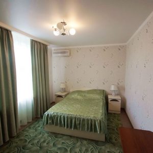 2-х местный номер с 1 кроватью люкс с видом на город